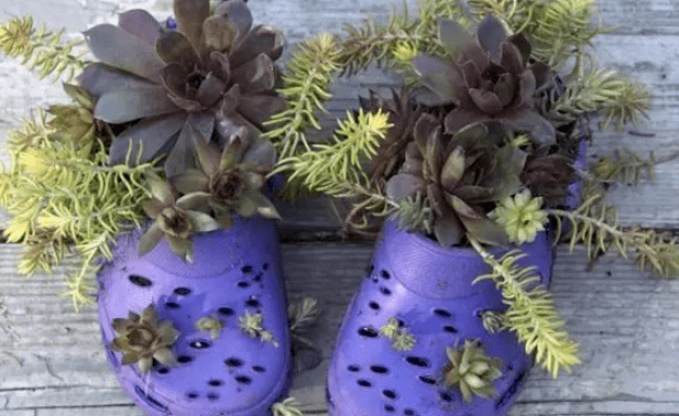 扔!留在家中特别“值钱”学会赚翻了AG真人旗舰厅不穿的旧鞋子一只也别(图3) 扔!留在家中特别“值钱”学会赚翻了AG真人旗舰厅不穿的旧鞋子一只也别(图3)